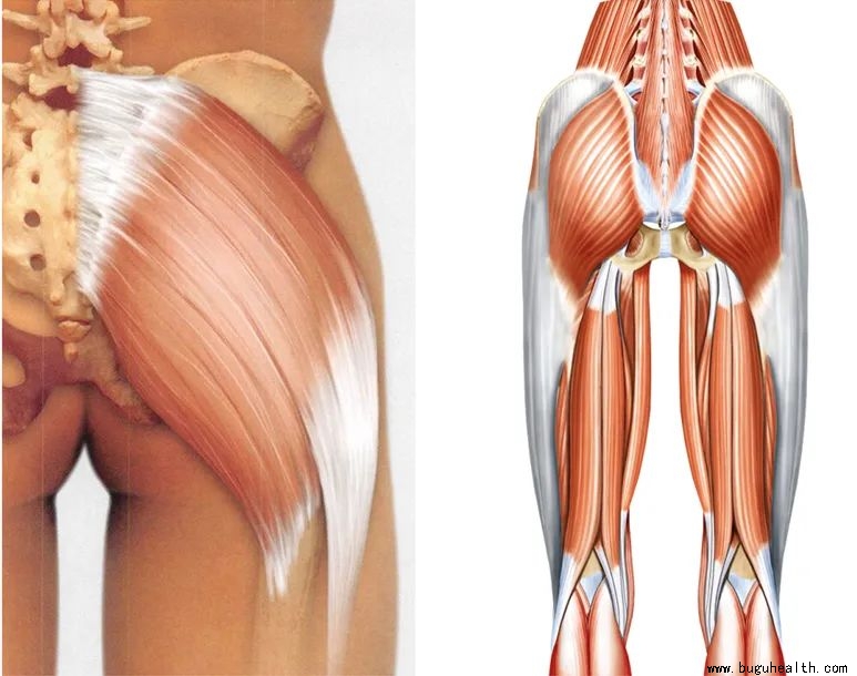 ���ǣ��μ�����