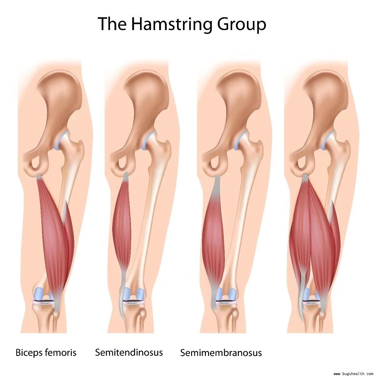 �N��������,�N��������ѵ��