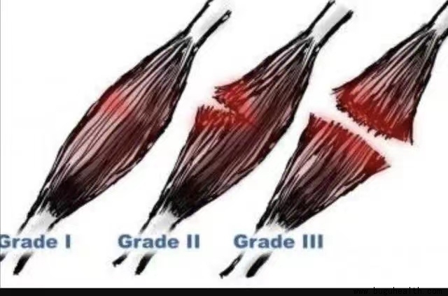 �N��������,�N��������ѵ��