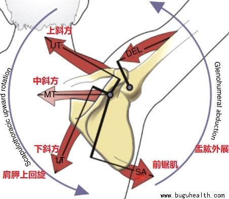 ���ǣ�ǰ�⼡����