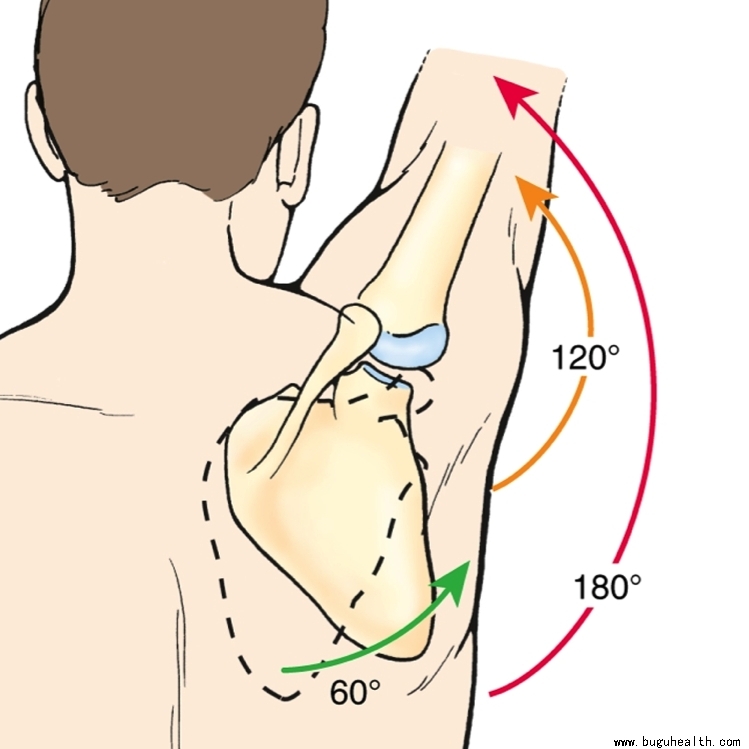 ���ǣ�ǰ�⼡ѵ��