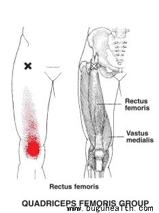 ���ǣ�������ʹ