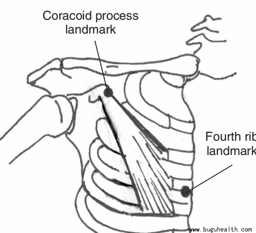 ���ǣ���С������