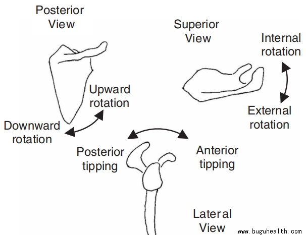 ���ǣ���С�����죬��С������