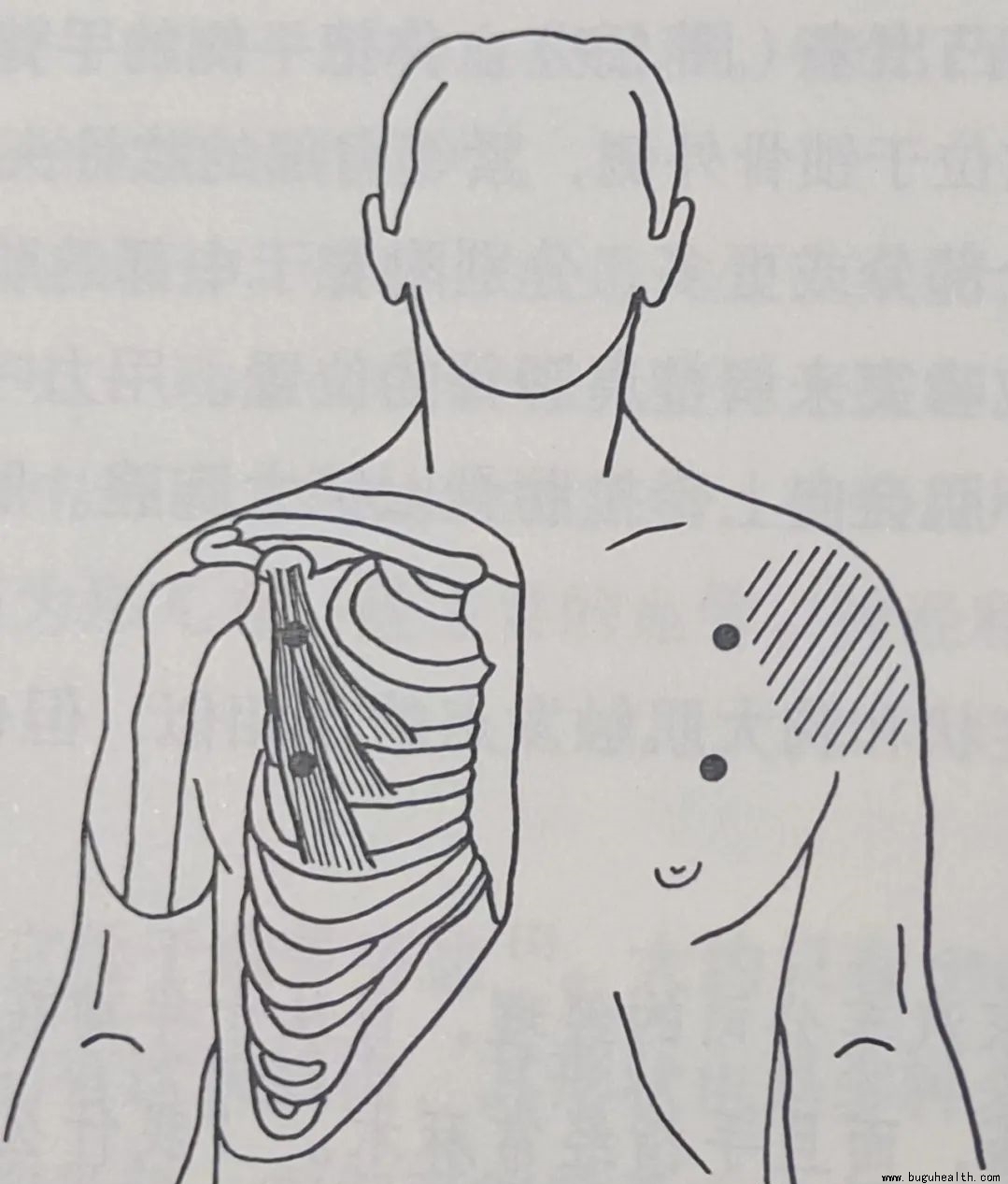 ���ǣ���С�����죬��С������