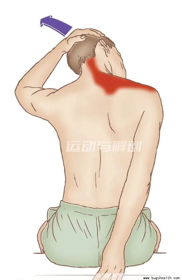 ���ǣ�б��������