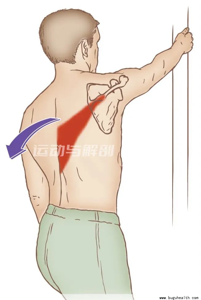 ���ǣ�б��������