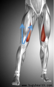 ���ǣ������˶�