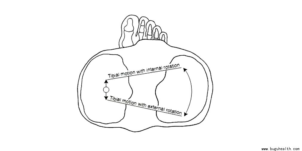 ���ǣ����°�����