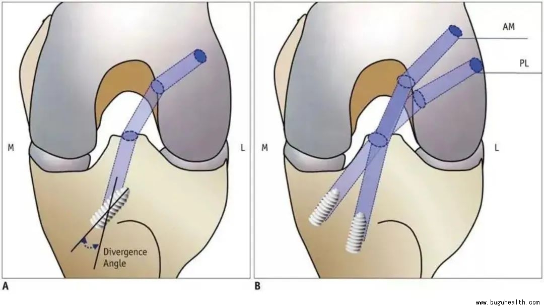 ����ҽ�ƣ����󿵸���ǰ�����󣬲���ҽѧ���գ����ǿ���