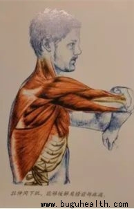 ���죬ǣ��