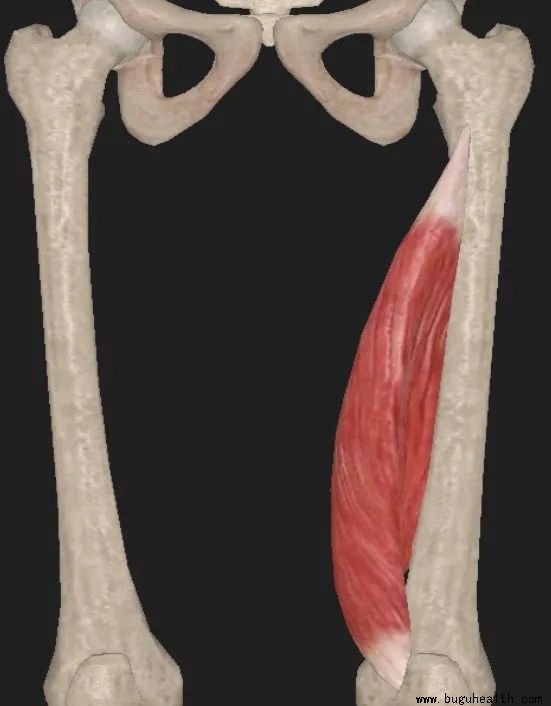 ϥ�ؽڿ�������ǰ����