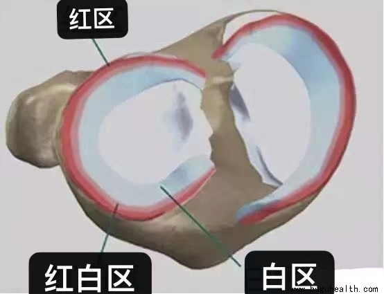 ���ǿ��������°�