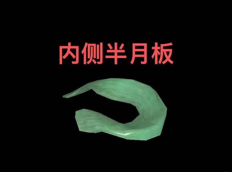 ���ǿ��������°�