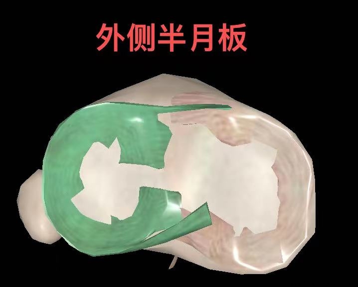 ���ǿ����������°�