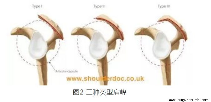 ����ҽѧ���ա����ǿ���