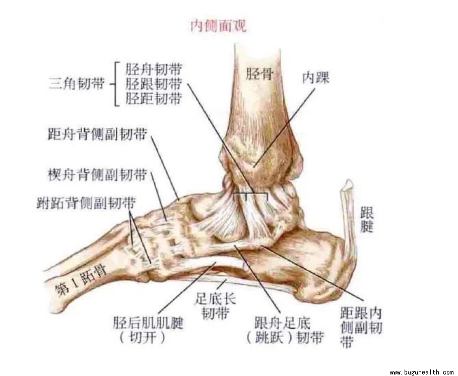 ����ҽѧ���ա����ǿ��������ǿ���