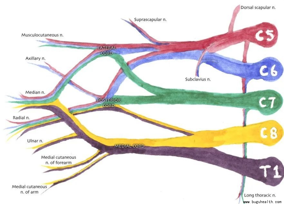 ����ҽѧ���ա����ǿ��������ǿ���