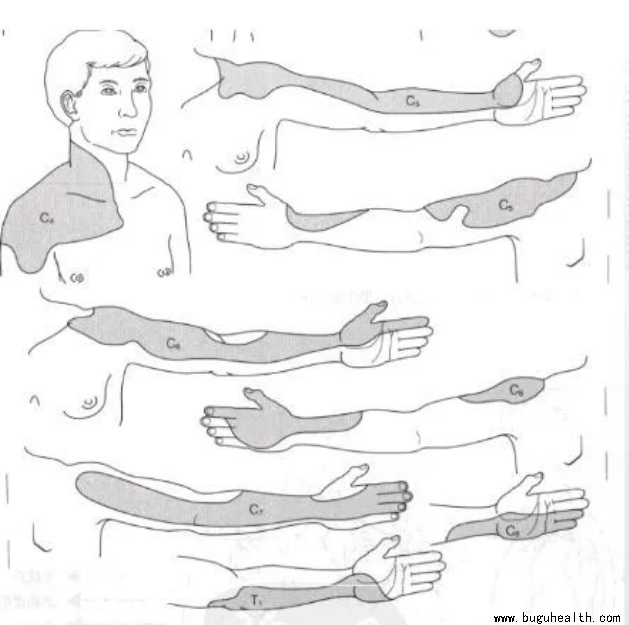 ����ҽѧ���ա����ǿ��������ǿ���