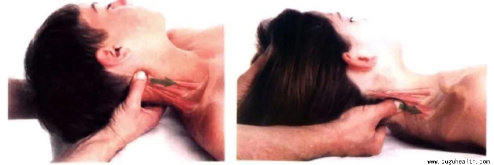 ����ҽѧ���ա����ǿ��������ǿ���