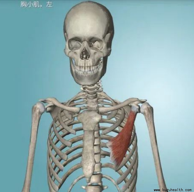 ����ҽѧ���ա����ǿ��������ǿ���