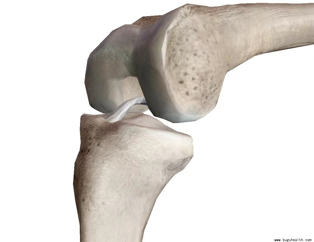 ����ҽѧ���ա����ǿ��������ǿ���