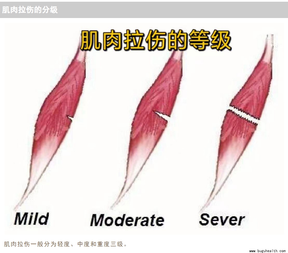 ����ҽѧ���ա����ǿ��������ǿ���