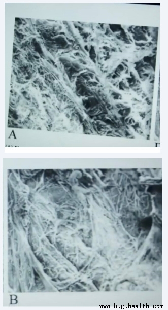 ����ҽѧ���ա����ǿ��������ǿ���