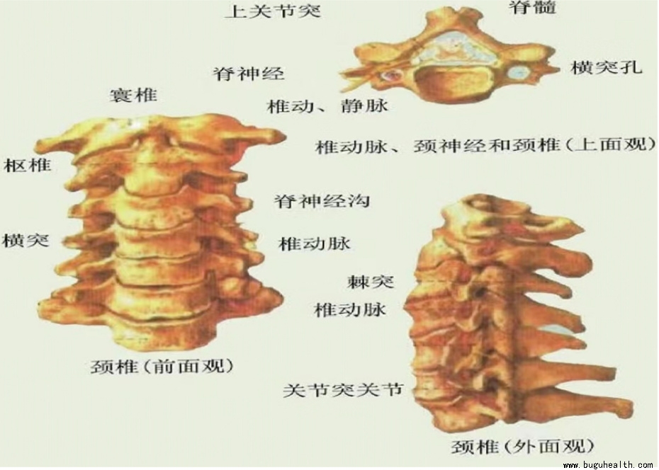 ����ҽѧ���ա����ǿ��������ǿ�������׵��