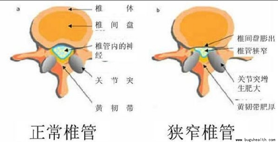 ����ҽѧ���ա����ǿ��������ǿ���