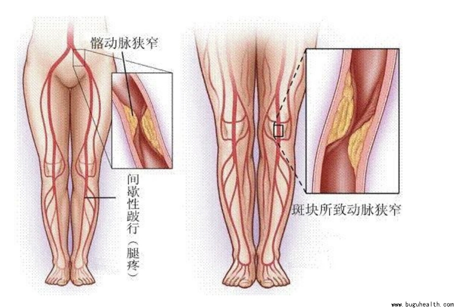 ����ҽѧ���ա����ǿ��������ǿ���