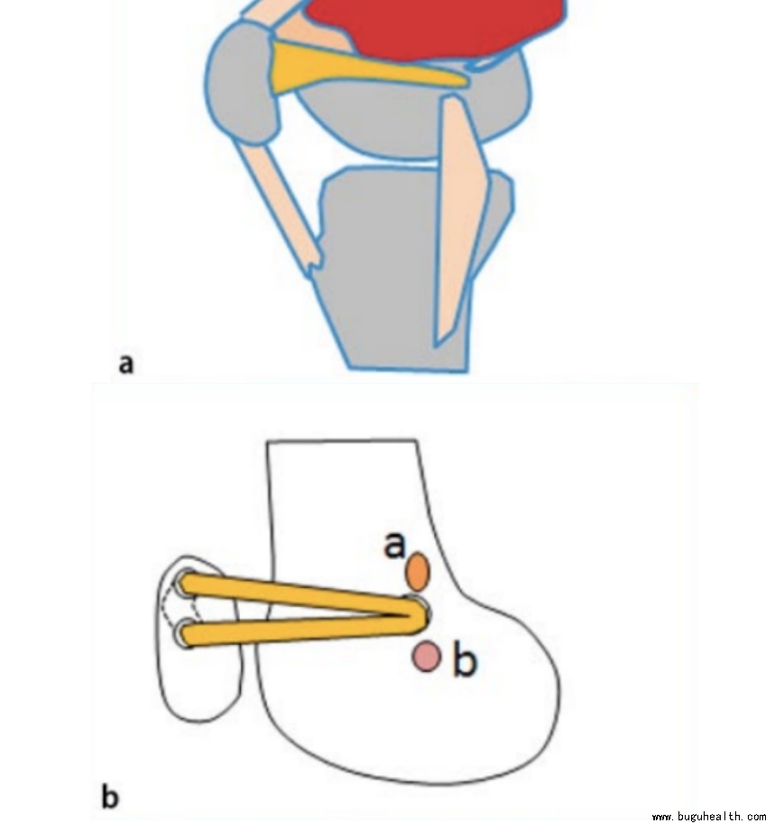 ����ҽѧ���ա����ǿ��������ǿ���