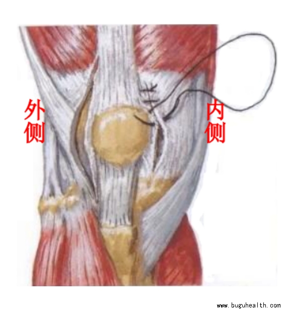 ����ҽѧ���ա����ǿ��������ǿ���