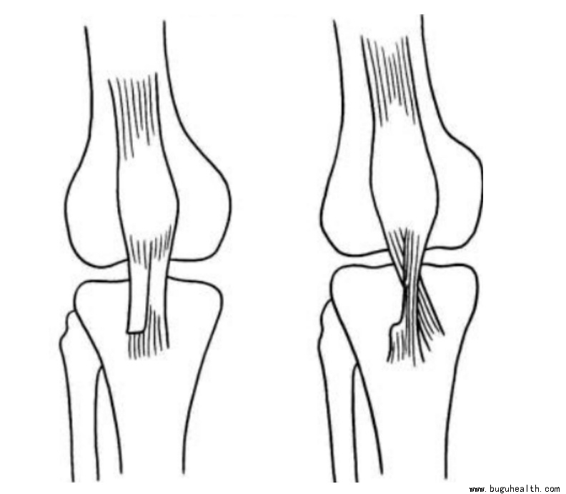 ����ҽѧ���ա����ǿ��������ǿ���