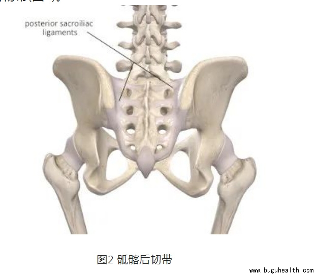 ����ҽѧ���ա����ǿ��������ǿ���