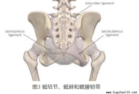 ����ҽѧ���ա����ǿ��������ǿ���