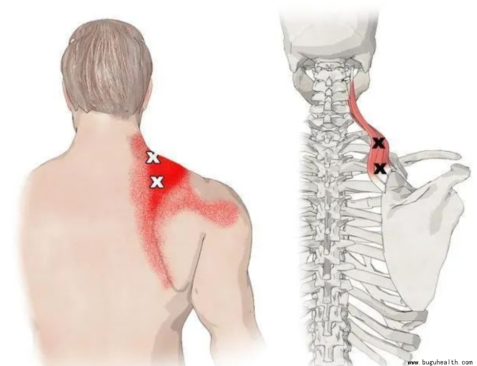 ����ҽѧ���ա����ǿ��������ǿ���