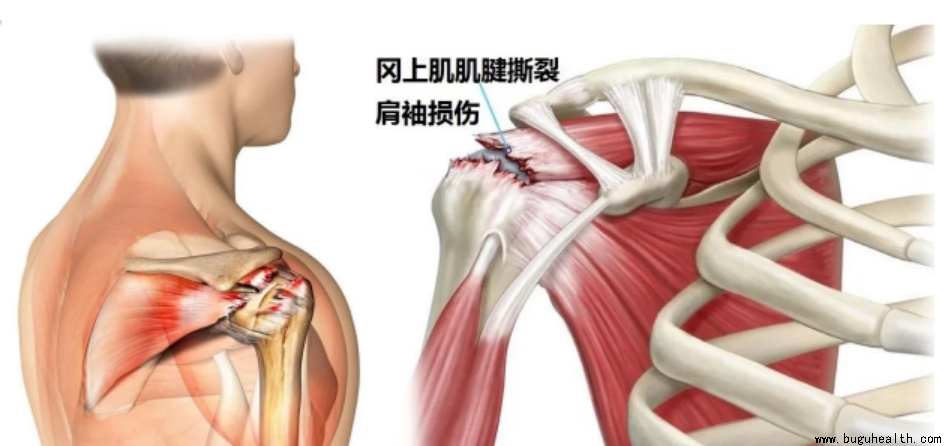 ����ҽѧ���ա����ǿ��������ǿ���