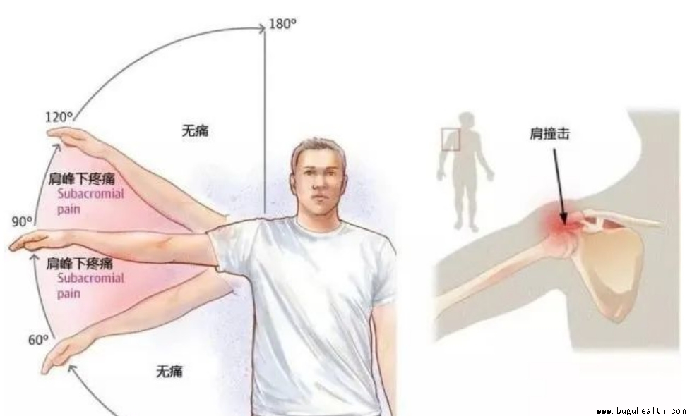 ����ҽѧ���ա����ǿ��������ǿ���