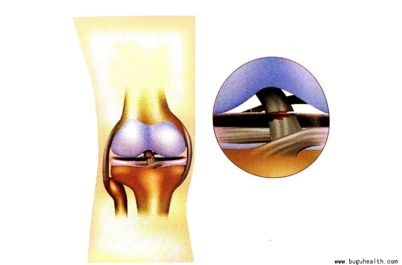 ����ҽѧ���ա����ǿ��������ǿ���