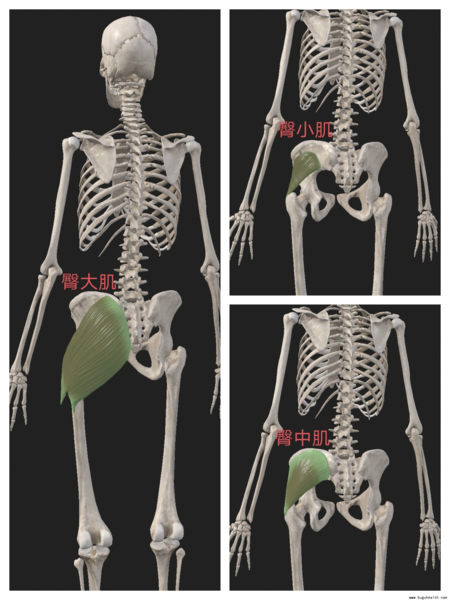 ����ҽѧ���ա����ǿ��������ǿ���