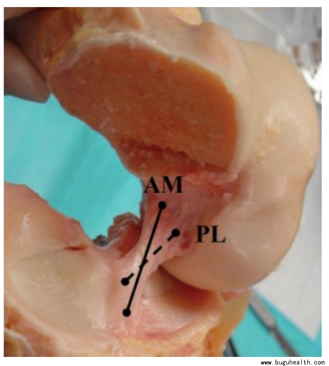 ����ҽѧ���ա����ǿ��������ǿ���