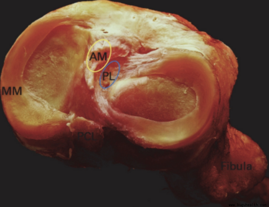 ����ҽѧ���ա�ǰ�����ʹ������ǿ���