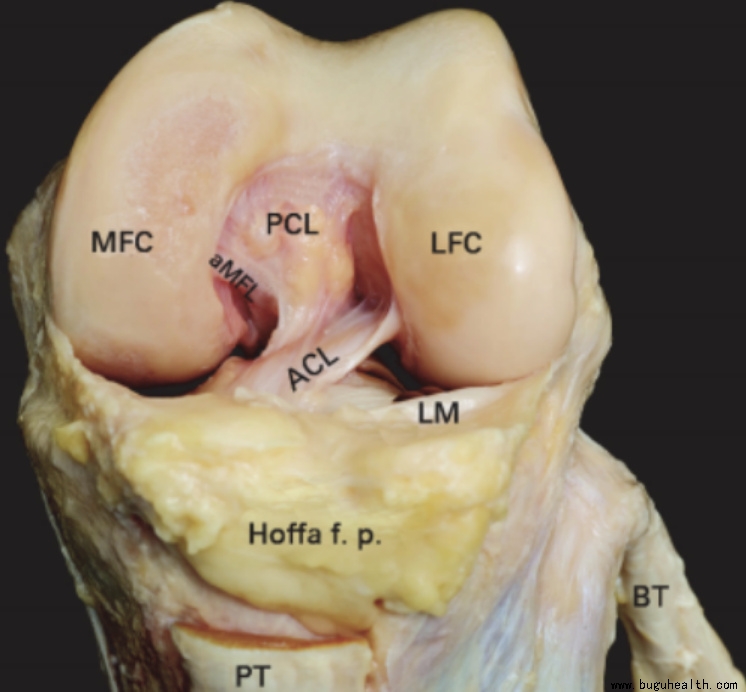 ����ҽѧ���ա����ǿ��������ǿ���