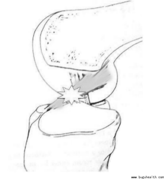 ����ҽѧ���ա����ǿ��������ǿ���