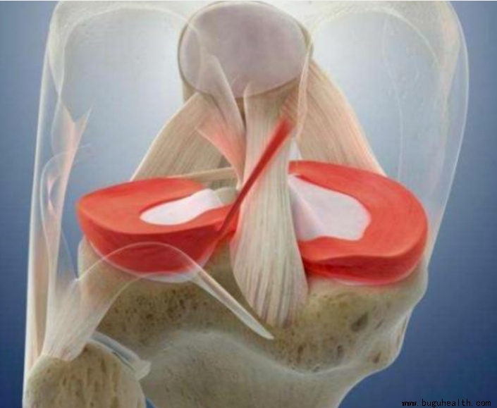 ����ҽѧ���ա����°����󡢲��ǿ���