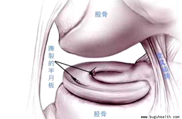 ����ҽѧ���ա����°����󡢲��ǿ���