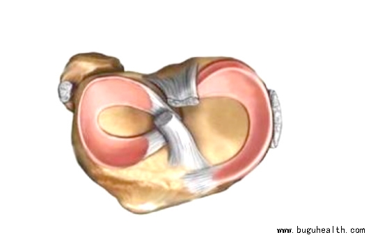 ����ҽѧ���ա����ǿ��������ǿ���