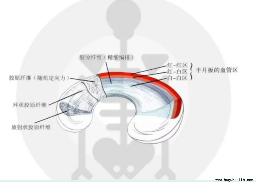 ����ҽѧ���ա����ǿ��������ǿ���