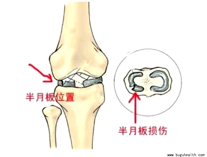 ����ҽѧ���ա����ǿ��������ǿ���